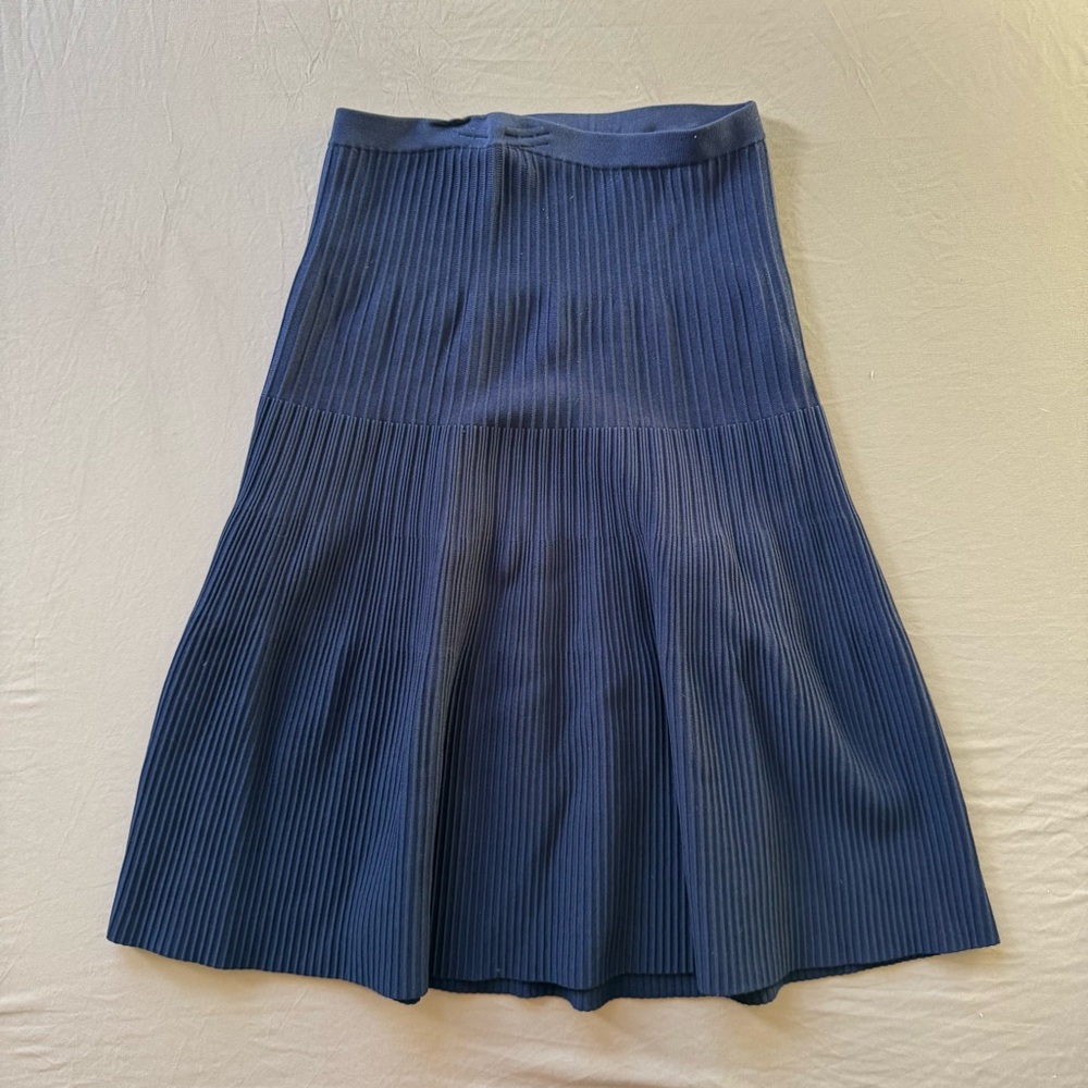 Classic Navy Pleated Knit Skirt - Women
